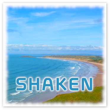 2025 07_shaken